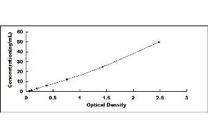 Typical standard curve (Lipocalin 1 ELISA Kit)