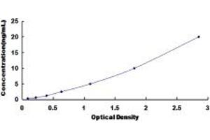 SLC39A6 ELISA Kit