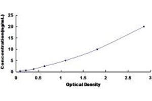 Typical standard curve (SLC39A6 ELISA Kit)