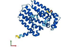 AlphaFold protein structure predicition of Human Recombinant GGPS1 Protein, UniprotID O95749 (GGPS1 Protein (AA 1-300) (His tag))