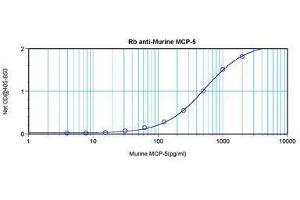 Image no. 3 for anti-Chemokine (C-C Motif) Ligand 12 (Ccl12) antibody (ABIN465845) (Ccl12 antibody)
