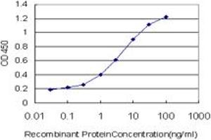 Detection limit for recombinant GST tagged CACNG3 is approximately 0. (CACNG3 antibody  (AA 199-297))