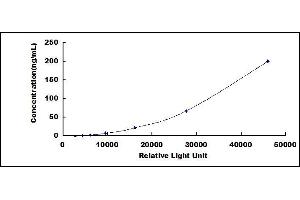 ELISA image for Trypsin CLIA Kit (ABIN491850)