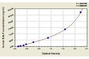 Typical standard curve (ALPL ELISA Kit)