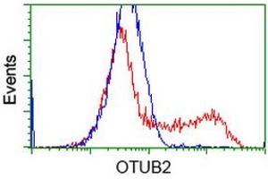 HEK293T cells transfected with either RC209650 overexpress plasmid (Red) or empty vector control plasmid (Blue) were immunostained by anti-OTUB2 antibody (ABIN2453408), and then analyzed by flow cytometry. (OTUB2 antibody)