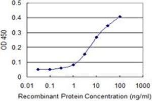 Detection limit for recombinant GST tagged MAPK13 is 0. (MAPK13 antibody  (AA 251-365))