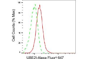 Flow cytometric analysis of UBE2I expression in HepG2 cells using UBE2I antibody (ABIN7800747), 1:2,000). (Recombinant UBE2I antibody)