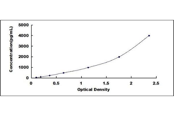 CRP ELISA Kit