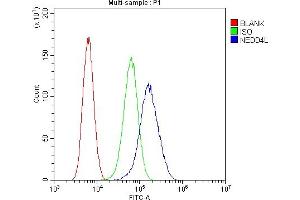 Flow Cytometry analysis of U20S cells using anti-NEDD4-2 antibody (ABIN5693274). (NEDD4-2 antibody  (AA 703-975))