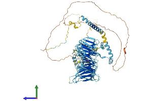 Protein Structure (PS) image for Eukaryotic Translation Initiation Factor 3, Subunit B (EIF3B) (AA 1-814) protein (His tag) (ABIN7553801)