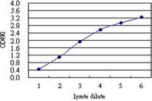 Sandwich ELISA detection sensitivity ranging from approximately 729x to 3x dilution of the CD55 293T overexpression lysate (non-denatured).