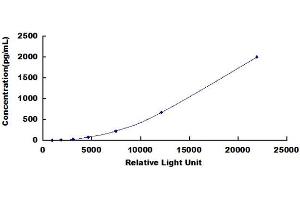 ELISA image for Tumor Necrosis Factor (Ligand) Superfamily, Member 11 (TNFSF11) CLIA Kit (ABIN3160514) (RANKL CLIA Kit)