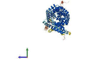 AlphaFold protein structure predicition of Human Recombinant TTC39C Protein, UniprotID Q8N584 (TTC39C Protein (AA 1-583) (His tag))