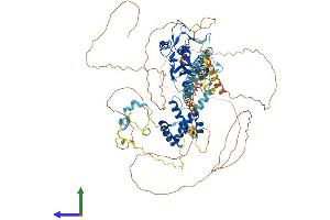 AlphaFold protein structure predicition of Human Recombinant JADE3 Protein, UniprotID Q92613 (PHF16 Protein (AA 1-823) (His tag))