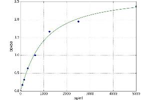 Phenylalanine Hydroxylase ELISA Kit