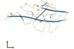 Protein Structure (PS) image for Trafficking Protein, Kinesin Binding 1 (TRAK1) (AA 1-953) protein (His tag) (ABIN7555818)