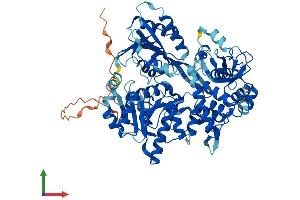 Protein Structure (PS) image for DEAH (Asp-Glu-Ala-His) Box Polypeptide 33 (DHX33) (AA 1-698) protein (His tag) (ABIN7558373)