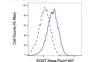 Validation of EOGT knockdown using flow cytometry. (Recombinant AER61 antibody)