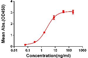 ELISA plate pre-coated by 2 μg/mL (100 μL/well) Human 4-1BB Protein, mFc-His Tag ABIN6961084, ABIN7042197 and ABIN7042198 can bind Rabbit anti-4-1BB monoclonal antibody (clone: DM66) in a linear range of 1-100 ng/mL. (CD137 antibody  (AA 24-186))