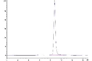 The purity of Mouse IL-18RAP is greater than 95 % as determined by SEC-HPLC. (IL18RAP Protein (AA 20-356) (His tag))