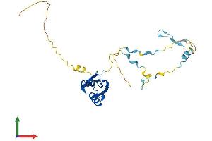 Protein Structure (PS) image for RCAN Family Member 3 (RCAN3) (AA 1-241) protein (His tag) (ABIN7551193)