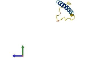 Protein Structure (PS) image for Lens Epithelial Protein (LENEP) (AA 1-61) protein (Fc Tag) (ABIN7548896)