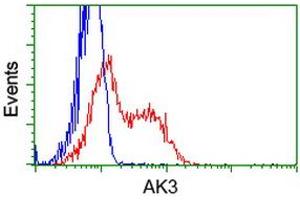 HEK293T cells transfected with either RC204408 overexpress plasmid (Red) or empty vector control plasmid (Blue) were immunostained by anti-AK3 antibody (ABIN2452715), and then analyzed by flow cytometry. (Adenylate Kinase 3 antibody)