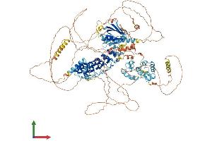AlphaFold protein structure predicition of Human Recombinant ANKS1B Protein, UniprotID Q7Z6G8 (ANKS1B Protein (AA 1-1248) (His tag))