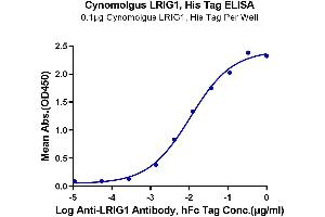 Immobilized Cynomolgus LRIG1, His Tag at 1 μg/mL (100 μL/well) on the plate. (Lrig1 Protein (AA 34-792) (His tag))