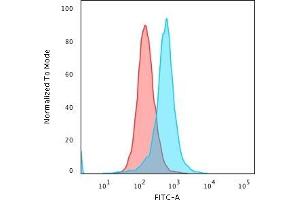 Flow Cytometric Analysis of PFA-fixed K562 cells using Calponin-1 Mouse Monoclonal Antibody (CALP ) followed by Goat anti-Mouse IgG-CF488 (Blue); Isotype Control (Red). (CNN1 antibody)