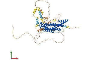 Protein Structure (PS) image for Family with Sequence Similarity 114, Member A2 (FAM114A2) (AA 1-497) protein (His tag) (ABIN7559892)
