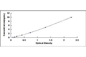 Typical standard curve (CXCL12 ELISA Kit)