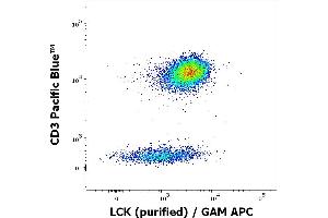 Flow cytometry multicolor intracellular staining of human peripheral whole blood stained using anti-LCK (LCK-01) purified antibody (concentration in sample 9 μg/mL, GAM APC) and anti-human CD3 (UCHT1) Pacific Blue antibody (20 μL reagent / 100 μL of peripheral whole blood). (LCK antibody  (AA 22-36))