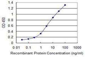 Detection limit for recombinant GST tagged CLDN19 is 0. (Claudin 19 antibody  (AA 1-211))