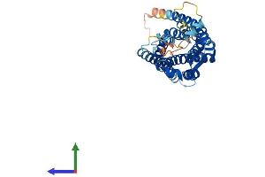 AlphaFold protein structure predicition of Mouse Recombinant Fpr2 Protein, UniprotID O88536
