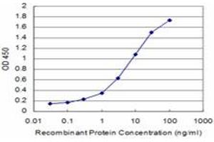 Detection limit for recombinant GST tagged SPP1 is approximately 0. (Osteopontin antibody  (AA 21-129))