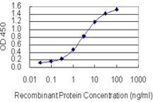 Detection limit for recombinant GST tagged SP2 is 0. (Sp2 antibody  (AA 71-161))