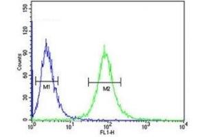 CD46 antibody flow cytometric analysis of CEM cells (green) compared to a negative control (blue). (CD46 antibody  (AA 317-343))