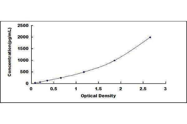 CXCL11 ELISA Kit