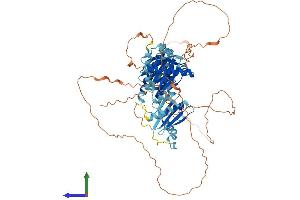 AlphaFold protein structure predicition of Mouse Recombinant Hps4 Protein, UniprotID Q99KG7 (HPS4 Protein (AA 1-671) (His tag))