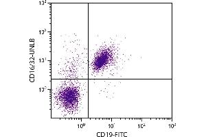 BALB/c mouse splenocytes were stained with Rat Anti-Mouse CD16/32-UNLB. (CD32/CD16 antibody)