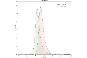 Detection of PARP in K562 human chronic myelogenous leukemia cell line using Anti-Poly ADP Ribose Polymerase (PARP) Polyclonal Antibody (PARP1 antibody  (AA 661-881))