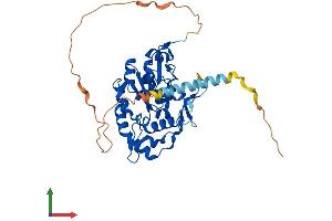 Protein Structure (PS) image for Heparan Sulfate 3-O-Sulfotransferase 2 (HS3ST2) (AA 1-367) protein (His tag) (ABIN7548408)