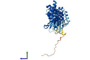 Protein Structure (PS) image for ATPase, H+ Transporting, Lysosomal 56/58kDa, V1 Subunit B2 (ATP6V1B2) (AA 1-511) protein (His tag) (ABIN7545044)
