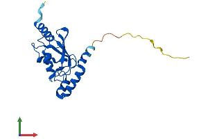 Protein Structure (PS) image for Ubiquitin-Conjugating Enzyme E2H (UBE2H) (AA 1-183) protein (His tag) (ABIN7544863)