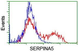 Flow Cytometry (FACS) image for anti-serpin Peptidase Inhibitor, Clade A (Alpha-1 Antiproteinase, Antitrypsin), Member 5 (SERPINA5) antibody (ABIN1500054) (SERPINA5 antibody)