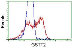 HEK293T cells transfected with either RC200040 overexpress plasmid (Red) or empty vector control plasmid (Blue) were immunostained by anti-GSTT2 antibody (ABIN2453099), and then analyzed by flow cytometry. (GSTT2 antibody)