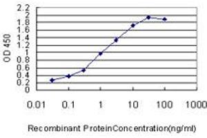 Detection limit for recombinant GST tagged ETV5 is approximately 0. (ETV5 antibody  (AA 181-290))