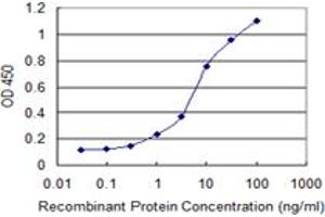 Detection limit for recombinant GST tagged CCL2 is 0. (CCL2 antibody  (AA 1-99))
