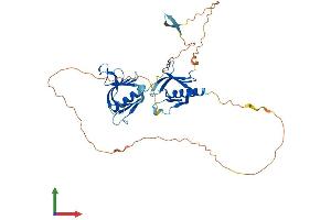 Protein Structure (PS) image for Pleckstrin Homology Domain Containing, Family A (phosphoinositide Binding Specific) Member 1 (PLEKHA1) (AA 1-404) protein (His tag) (ABIN7550852)
